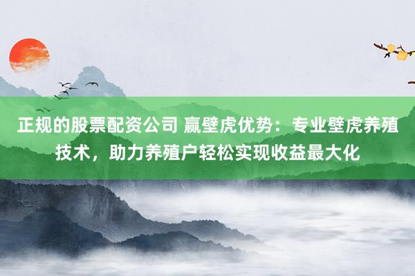 正规的股票配资公司 赢壁虎优势：专业壁虎养殖技术，助力养殖户轻松实现收益最大化