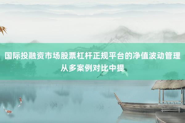 国际投融资市场股票杠杆正规平台的净值波动管理从多案例对比中提