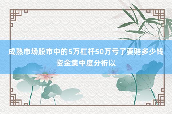 成熟市场股市中的5万杠杆50万亏了要赔多少钱资金集中度分析以