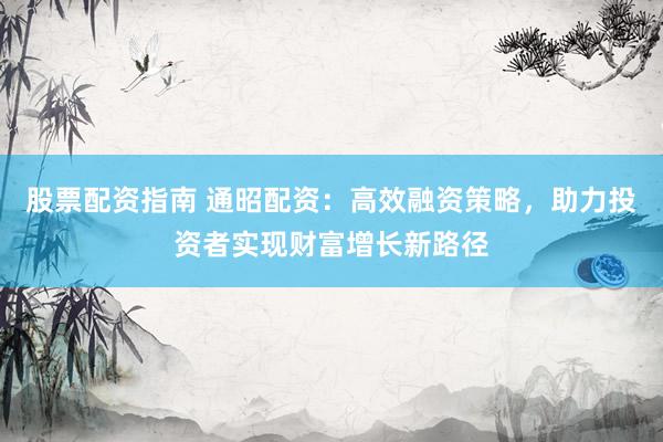 股票配资指南 通昭配资：高效融资策略，助力投资者实现财富增长新路径